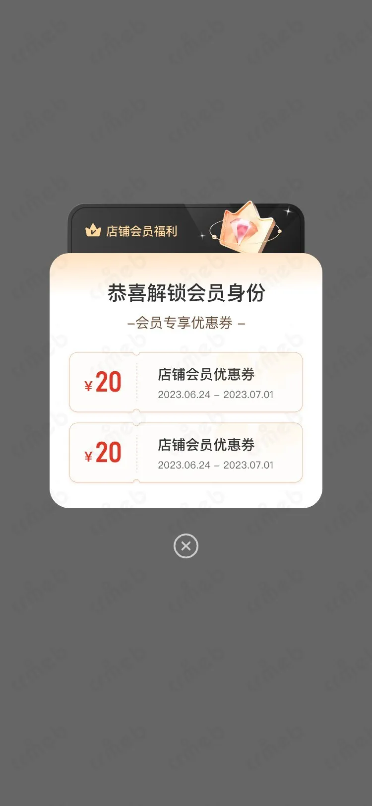 多商户JAVA-移动端商城-会员优惠券-2.jpg