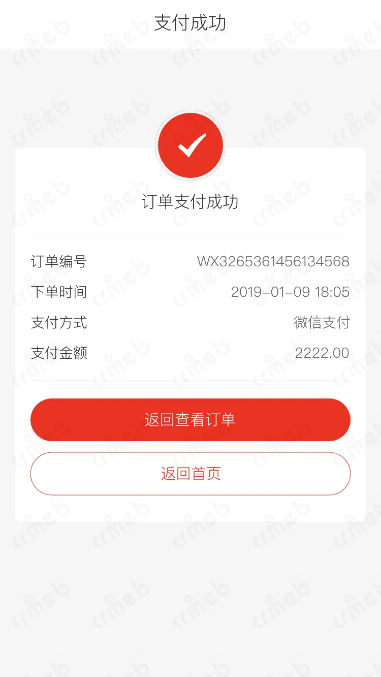 标准版java-移动端商城-支付状态-成功.png