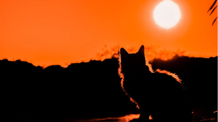 7d18c20260616112239721.png