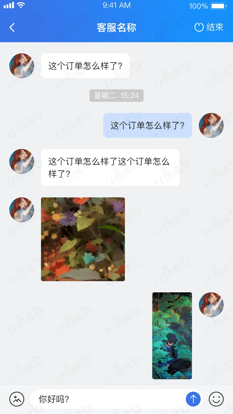 连锁多门店系统-客服-用户端聊天界面 &mdash; 客服在线状态.png